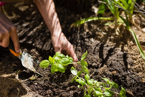 Tuin Winterklaar Maken Klaar Voor Het Najaar In Snelle Tips